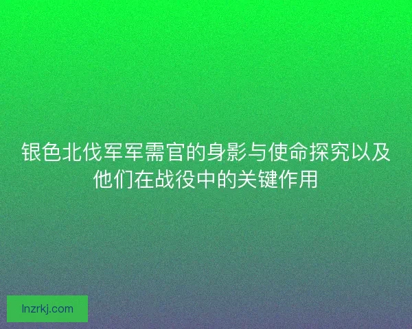 银色北伐军军需官的身影与使命探究以及他们在战役中的关键作用 银色北伐军军需官的身影与使命探究以及他们在战役中的关键作用