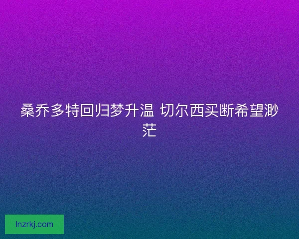 桑乔多特回归梦升温 切尔西买断希望渺茫